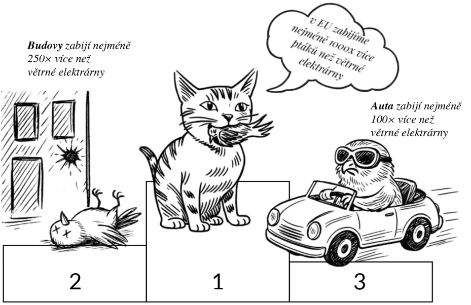 Ilustrační obrázek